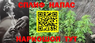 СК Нальчик