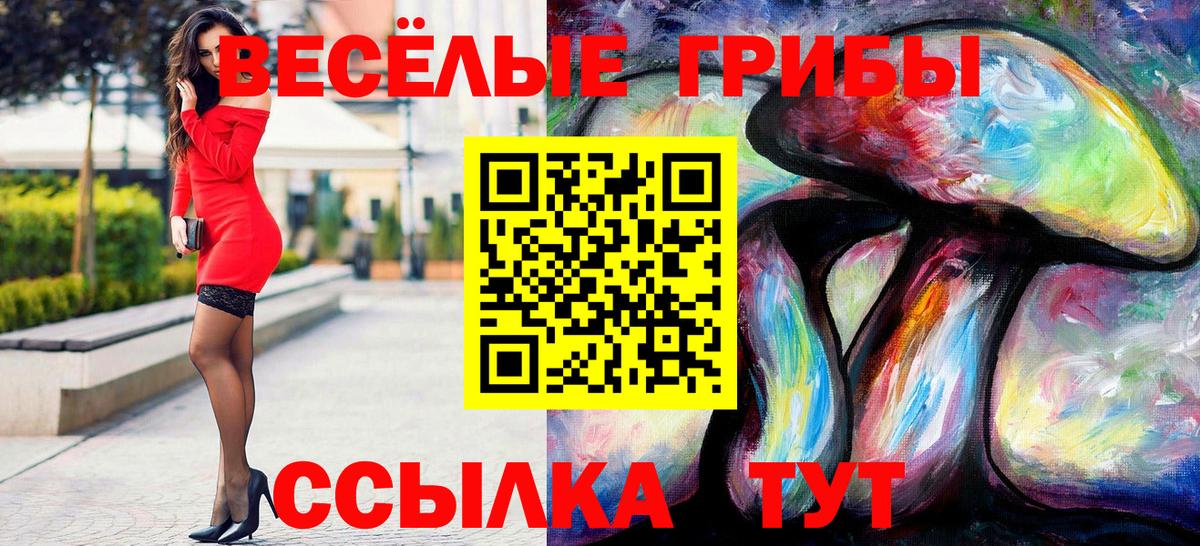 Галлюциногенные грибы Magic Shrooms  Псилоцибиновые грибы Psilocybe  Сочи  Вход с VPN 